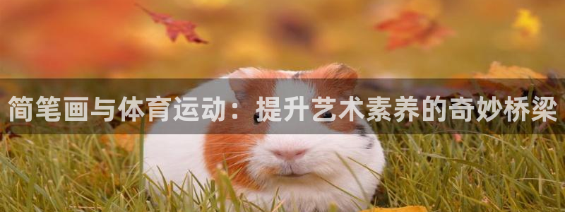 bbin视讯