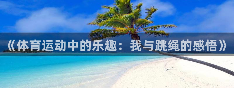 bbin视讯下
