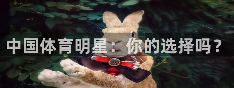 bbin视讯游戏官网