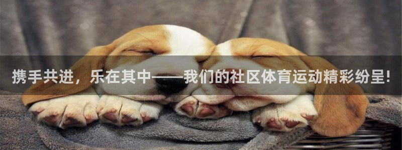bbin视讯下