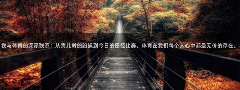 bbin视讯下