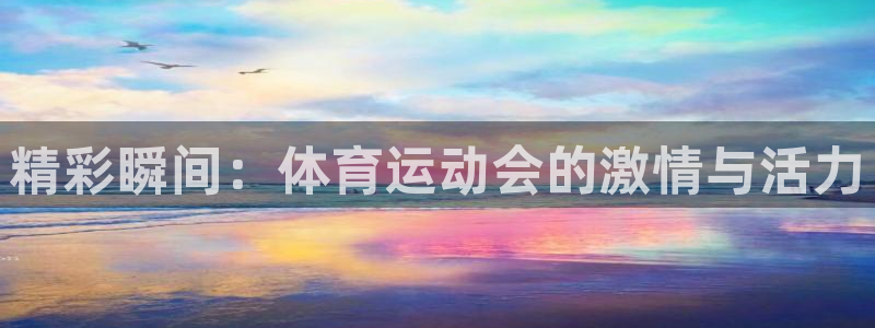 bbin视讯下