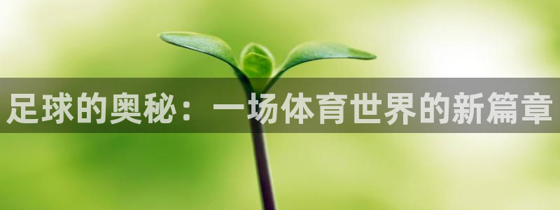bbin视讯游戏平台