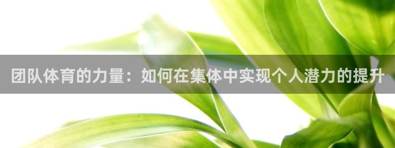 bbin视讯游戏平台